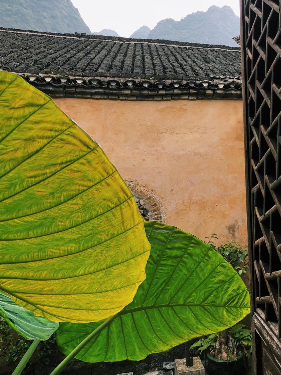 Laojia, A Qing Dynasty House Διαμέρισμα Γκουιλίν Εξωτερικό φωτογραφία